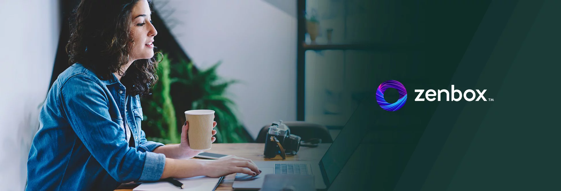 case study | zenbox.pl