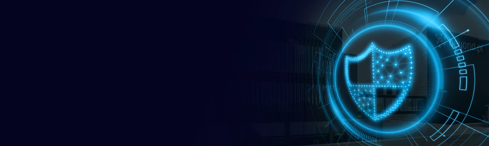 Ochrona anty-DDoS